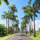 Rachat de crédit en Guadeloupe